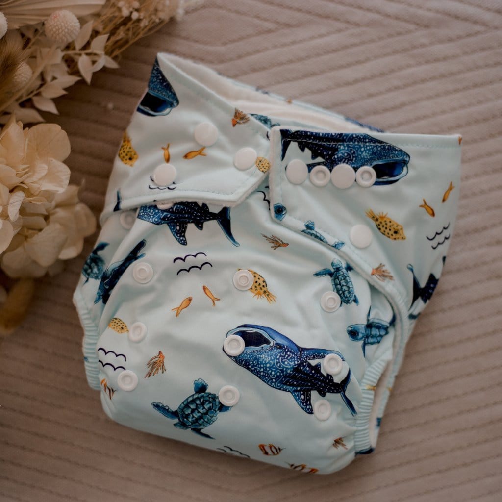 Modern Cloth Nappy - Marine Life - Everyday Living Eco Store 