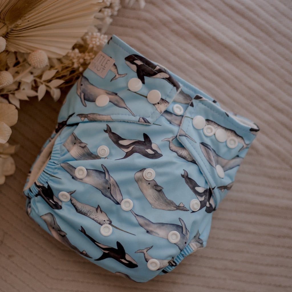 Modern Cloth Nappy - Whales - Everyday Living Eco Store 