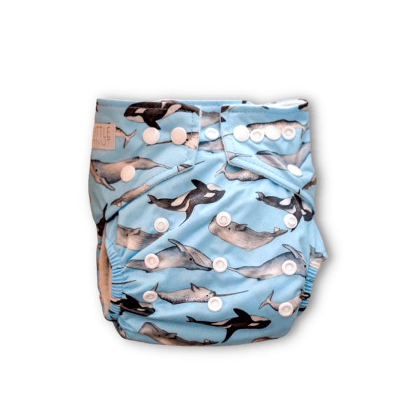 Modern Cloth Nappy - Whales - Everyday Living Eco Store 