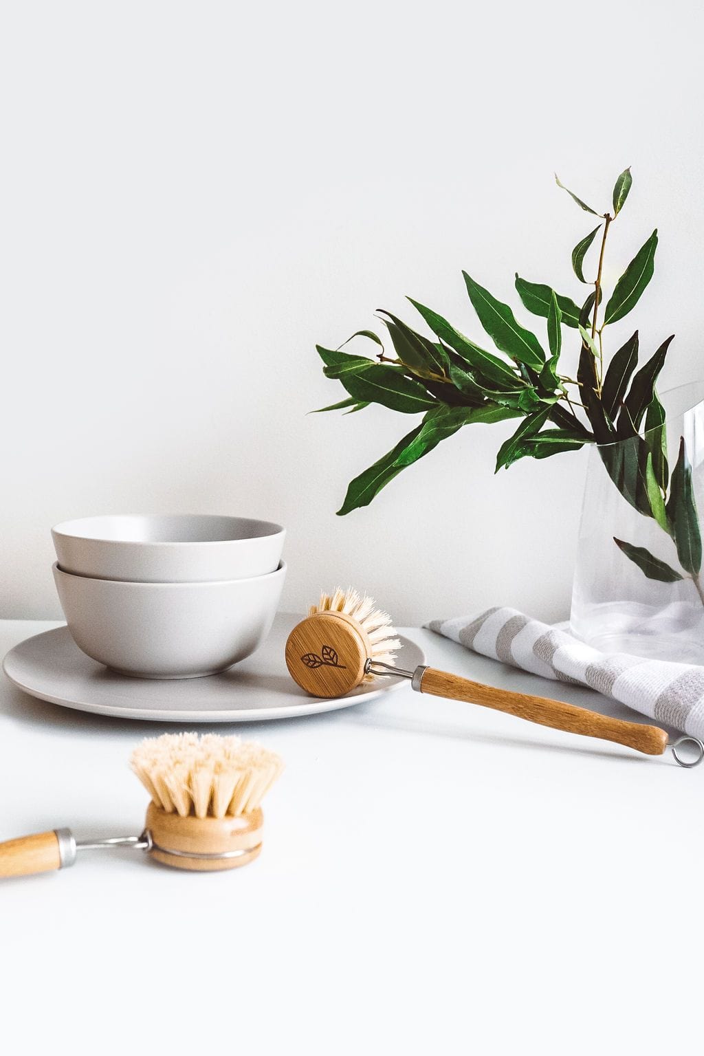 Dish Brush - Everyday Living Eco Store 