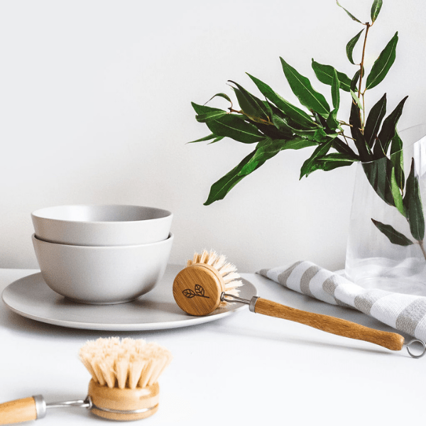 Dish Brush - Everyday Living Eco Store 